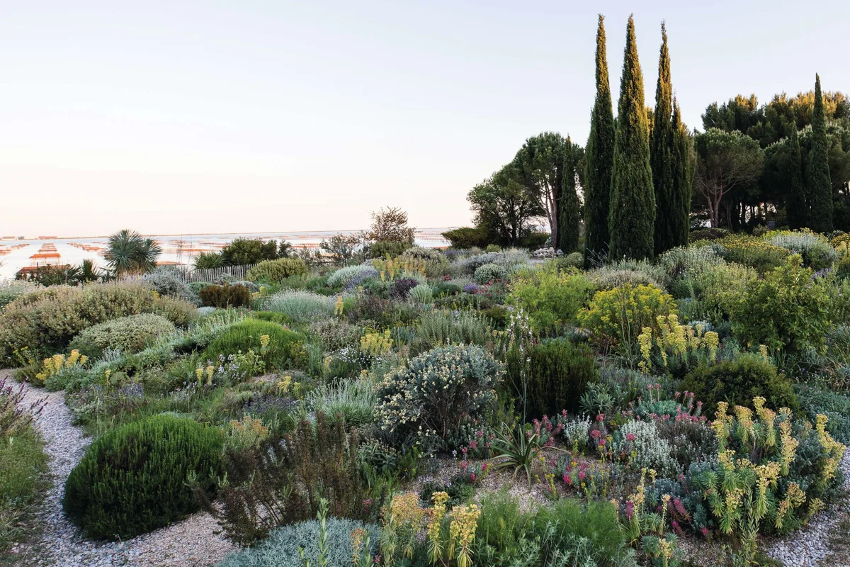 Olivier and Clara Filippi's experimental Mediterranean garden Le Jardin Olivier and Clara Filippi's experimental Mediterranean garden Le Jardin Sec © Claire Takacs
