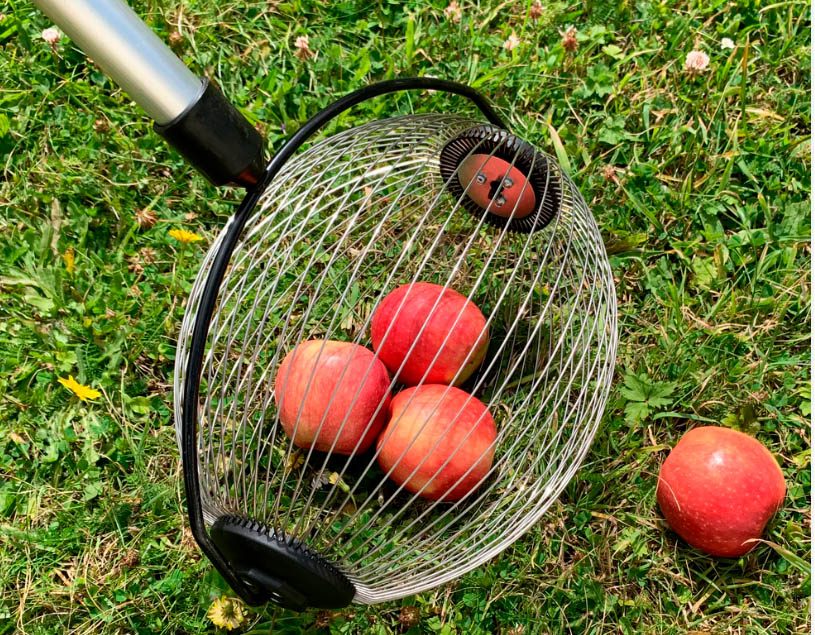 Telescopic Apple Collector
