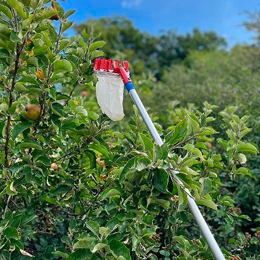 Selections Deluxe Lightweight Telescopic Apple & Fruit Picker