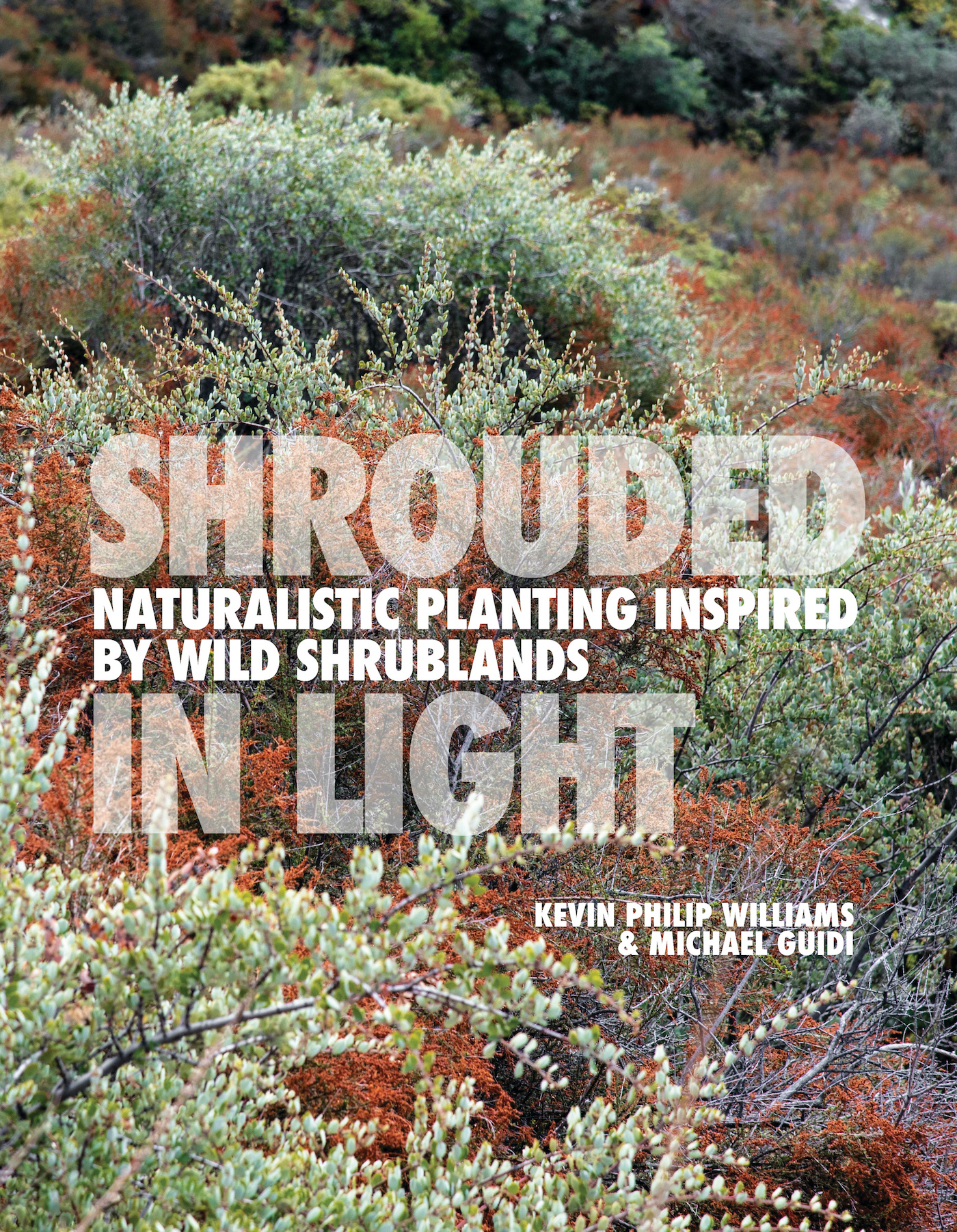 Shrouded in Light by Kevin Philip Williams and Michael Guidi