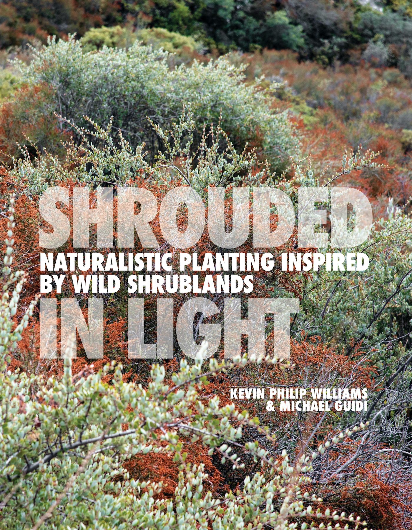 Shrouded in Light by Kevin Philip Williams and Michael Guidi