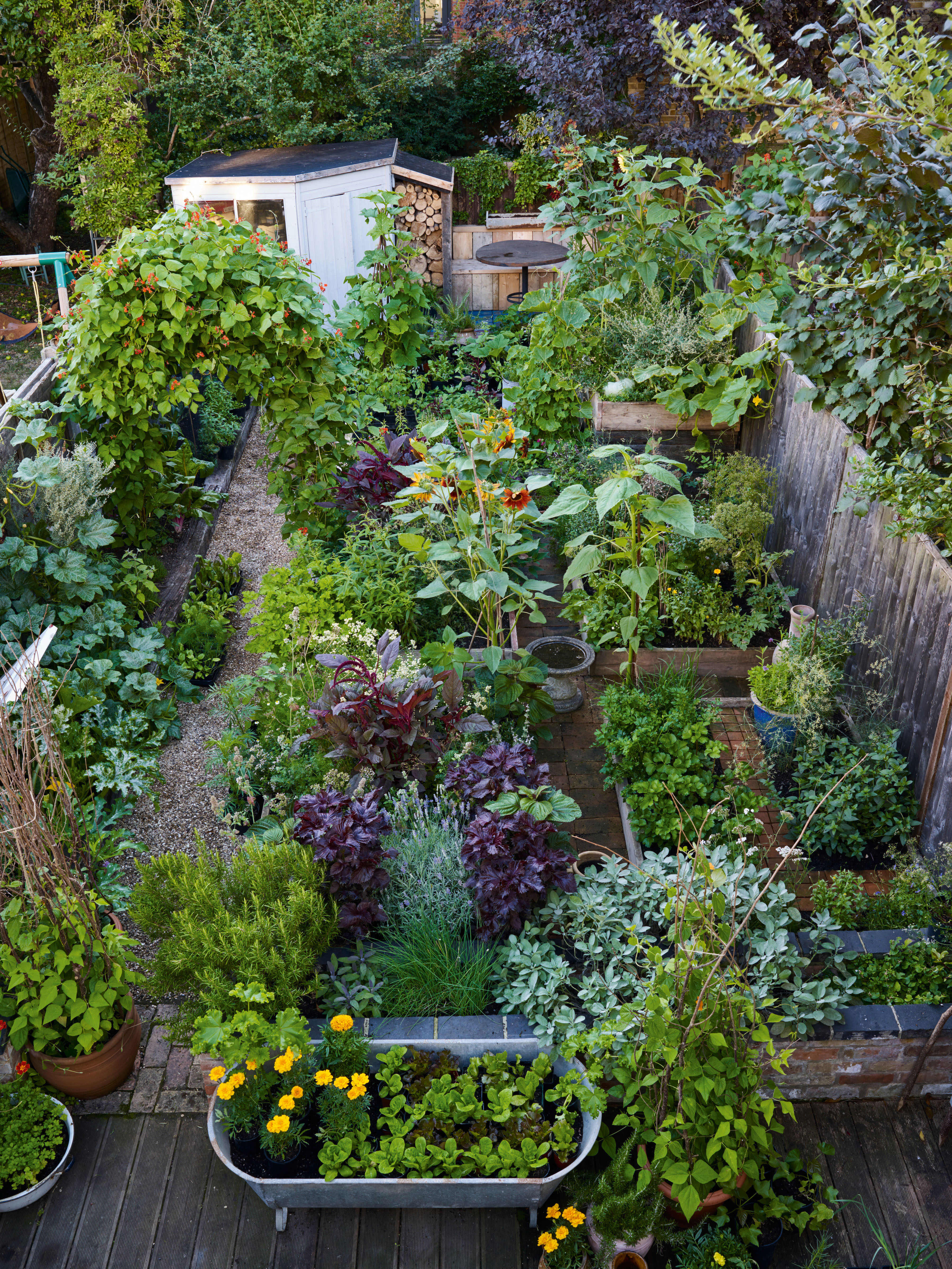Anna Greenland's garden