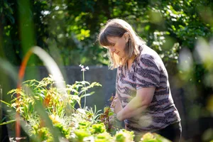 A community garden plant stall A community garden plant stall