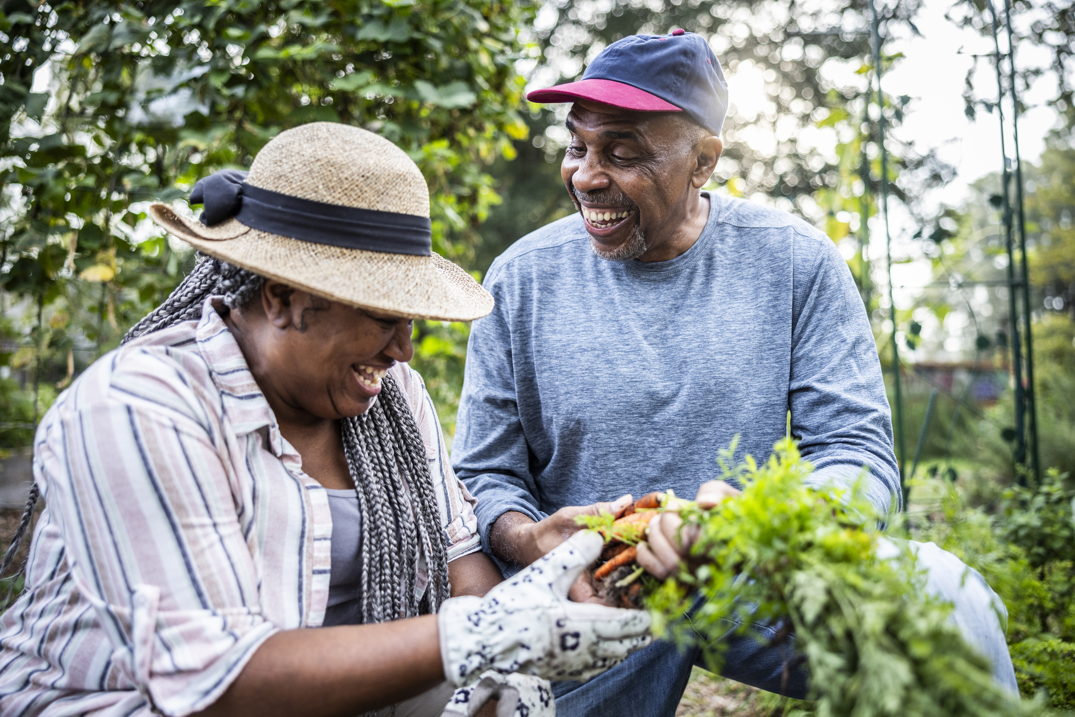 Couple picking vegetables in community garden