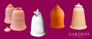 Compilation of Rhubarb Forcers Compilation of Rhubarb Forcers on purple background