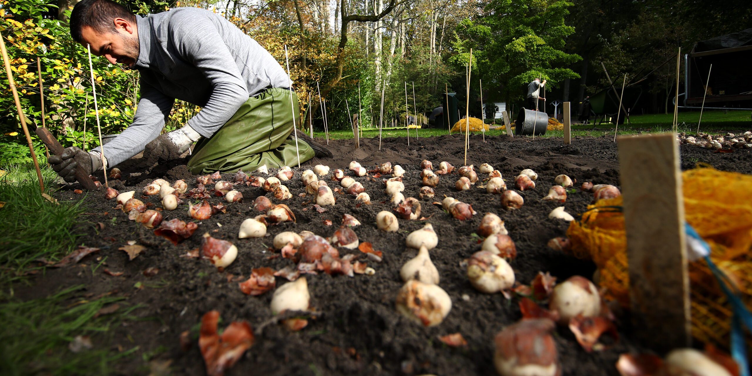 Bulb planting