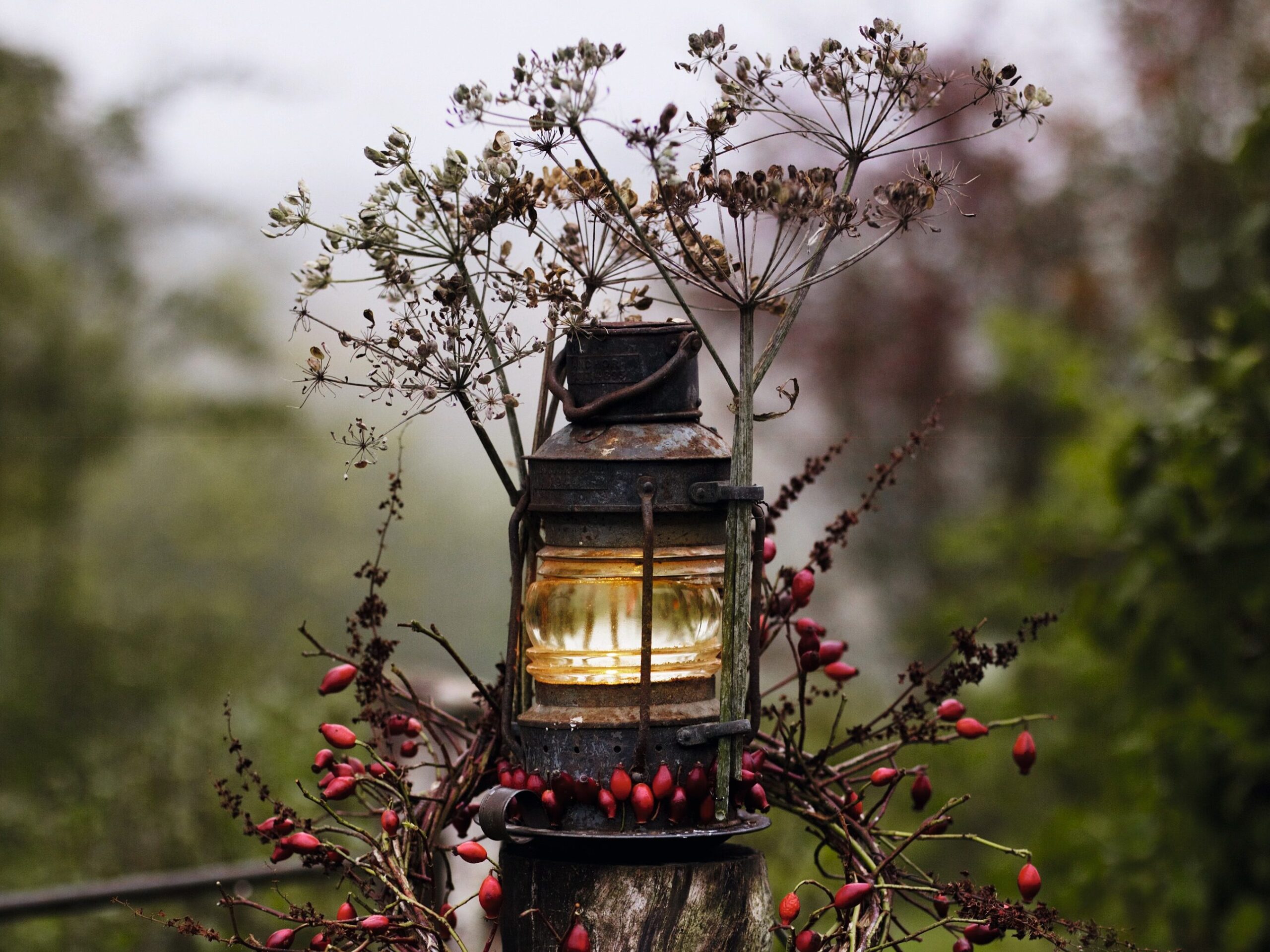 Christmas lighting decoration
