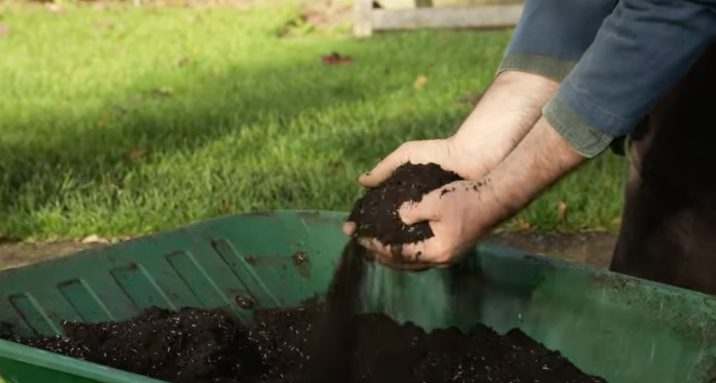 Preparing grass seed for sowing