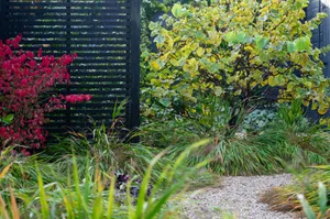 Corner of an east London garden designed by Alexa Ryan-Mills Corner of an east London garden designed by Alexa Ryan-Mills