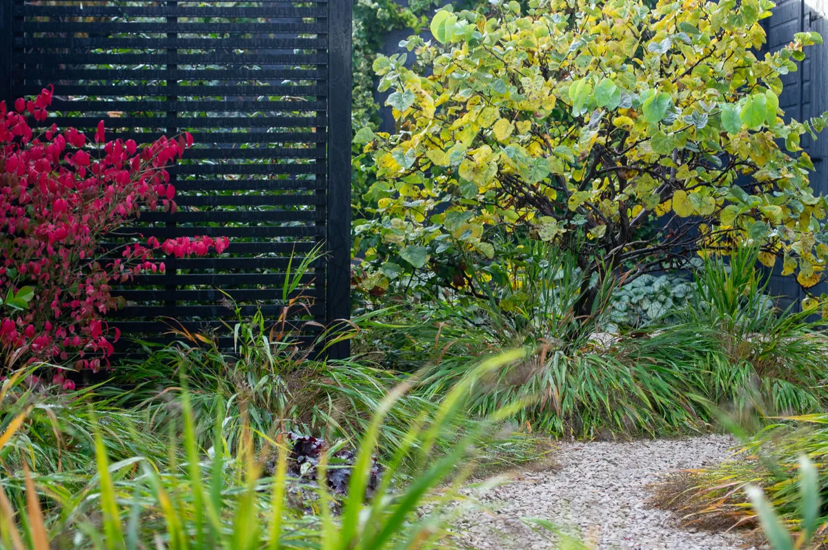 Corner of an east London garden designed by Alexa Ryan-Mills Corner of an east London garden designed by Alexa Ryan-Mills