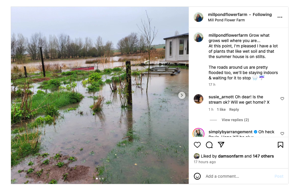 Mill Pond Flower Farm's instagram post
