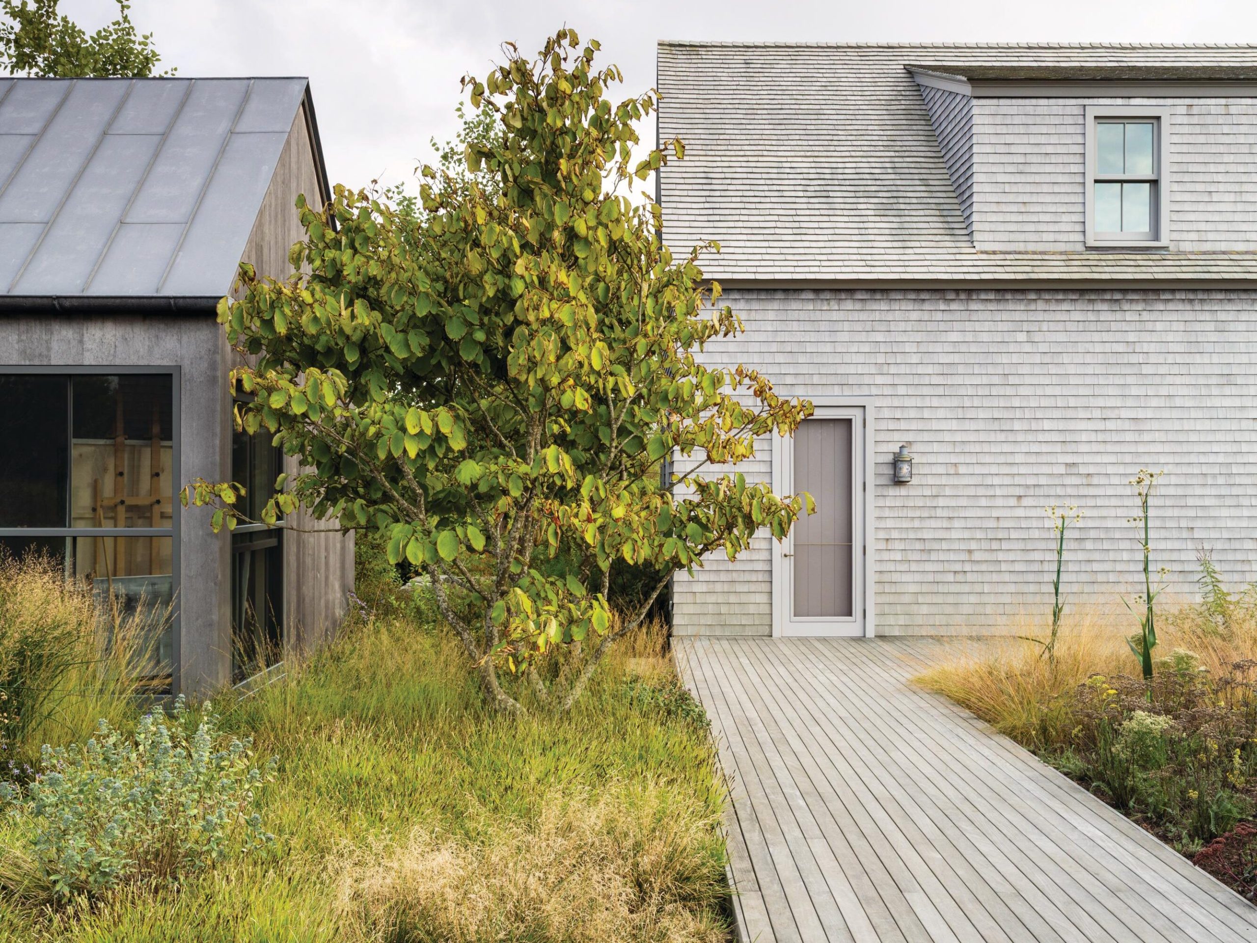 House and garden