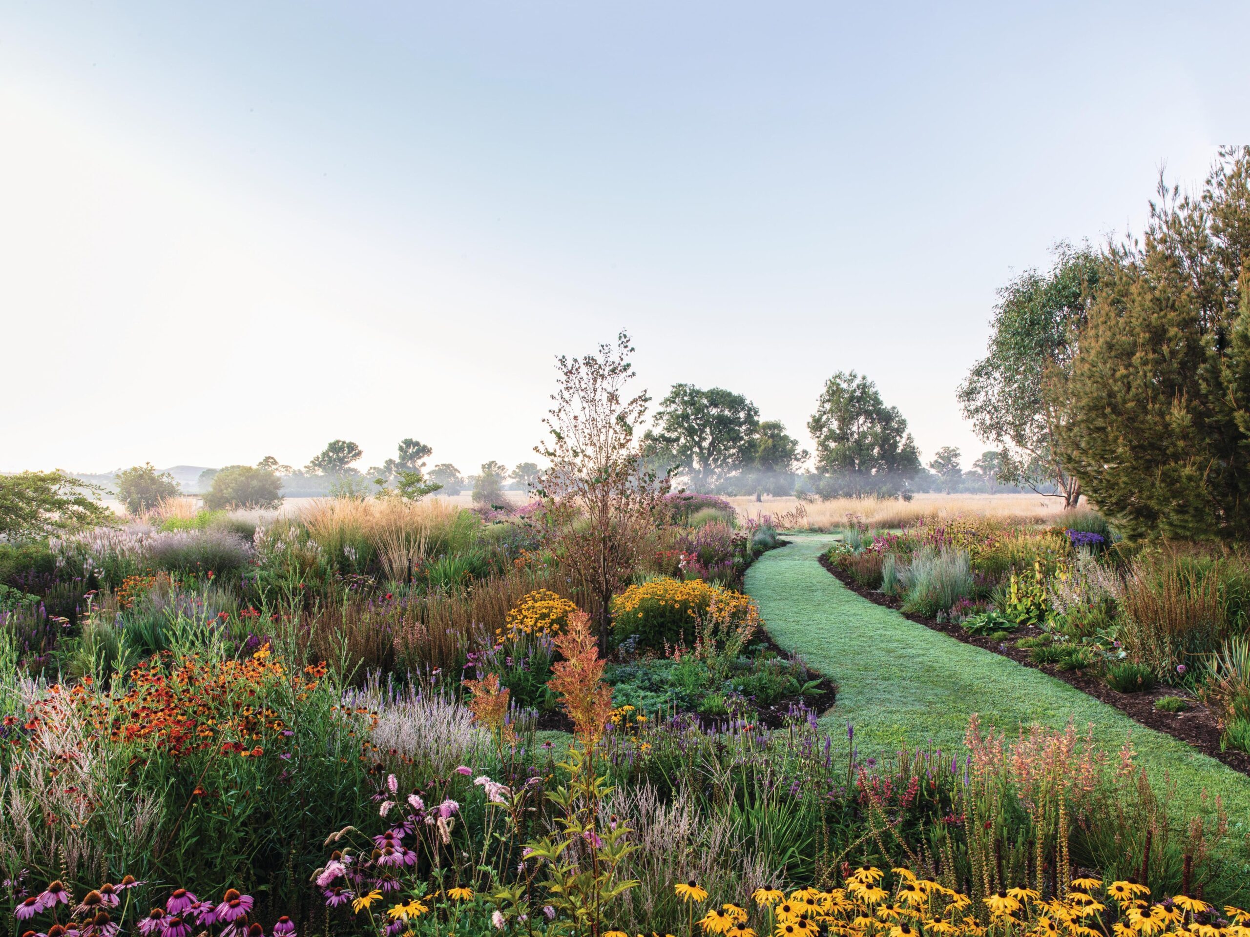 Colourful garden with lawn path