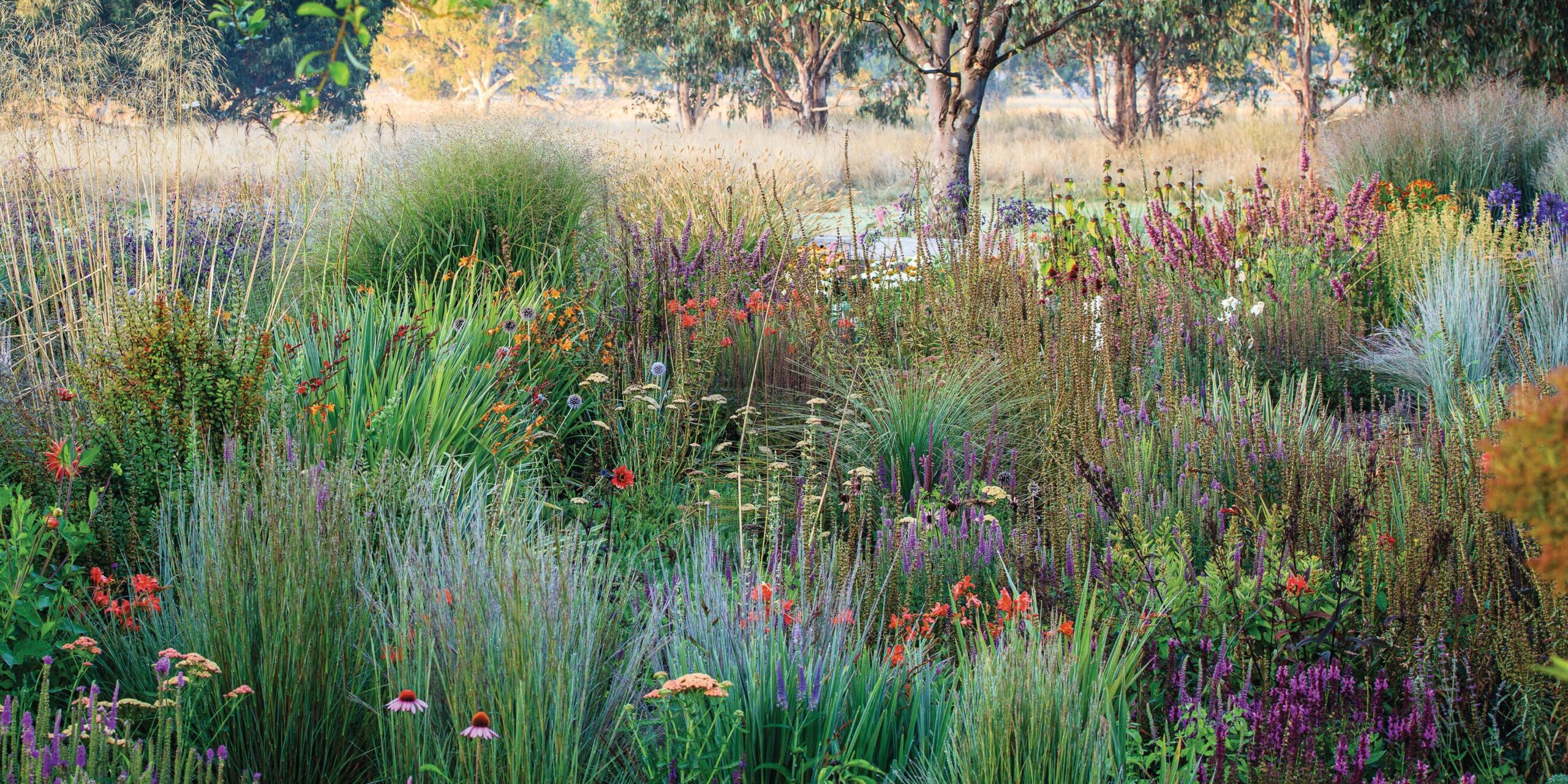 Colourful plants and trees