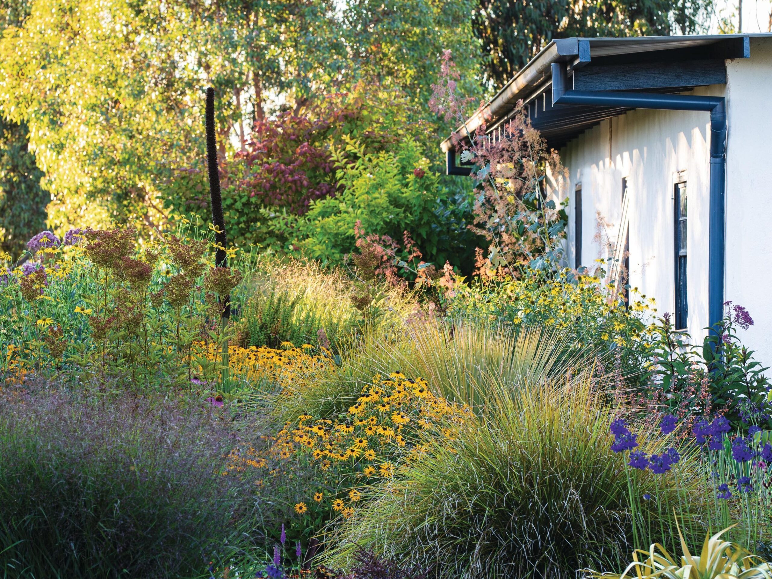 Colourful summer garden with white building
