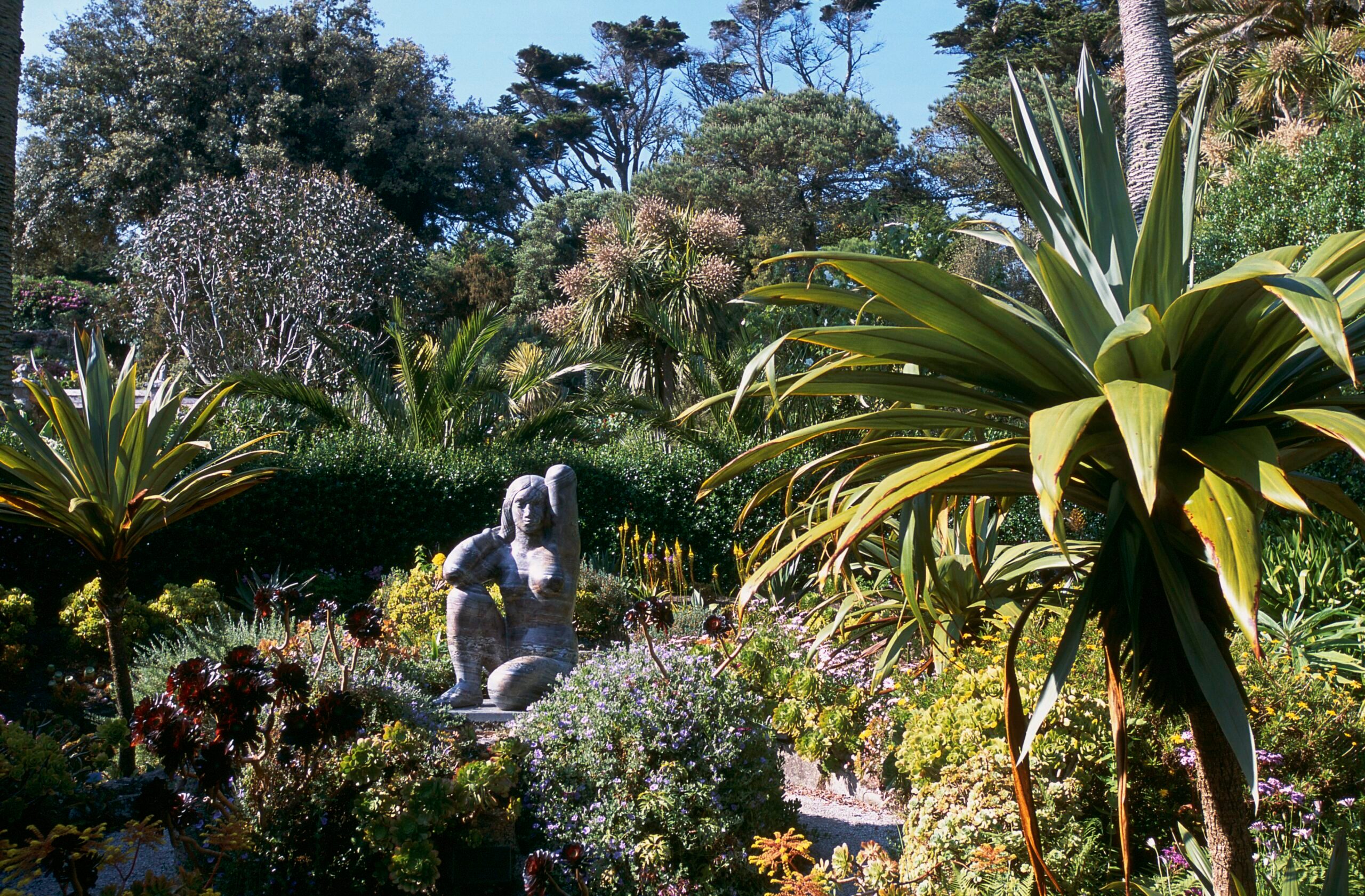 Tresco abbey and the sub-tropical garden 