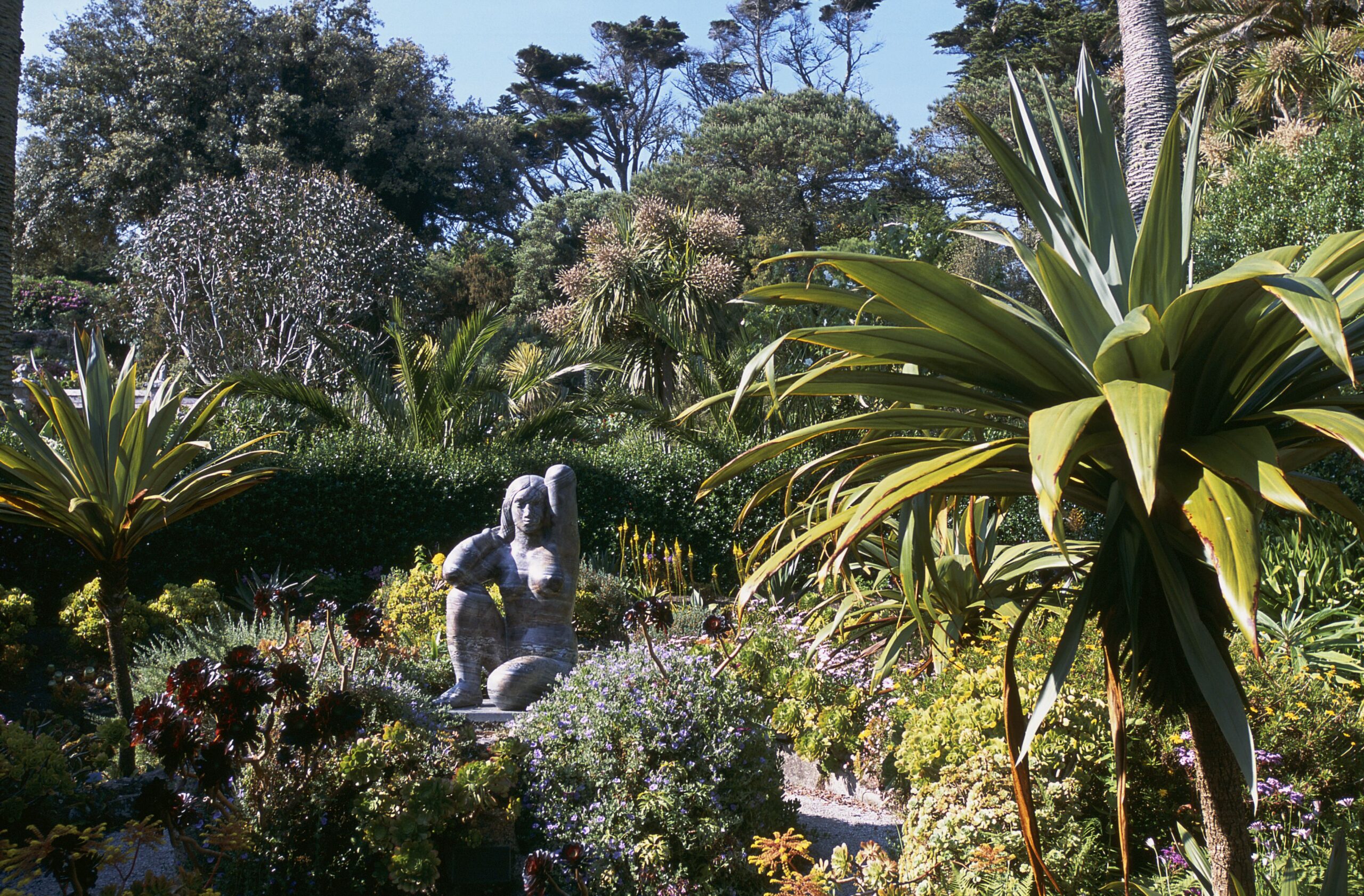 Tresco abbey and the sub-tropical garden