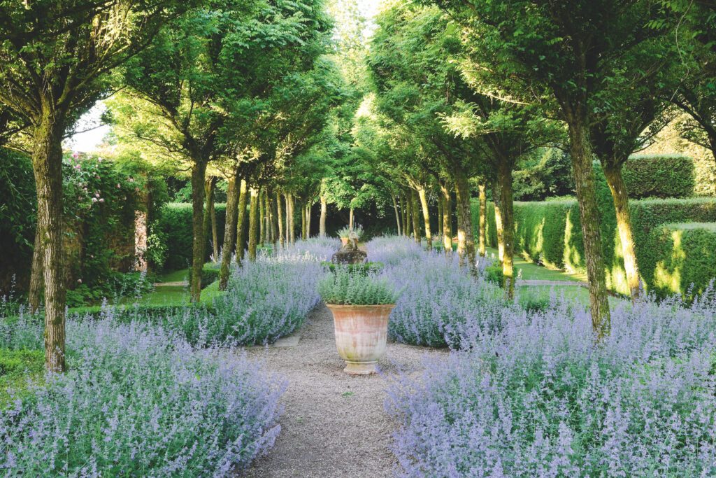 Cothay Manor