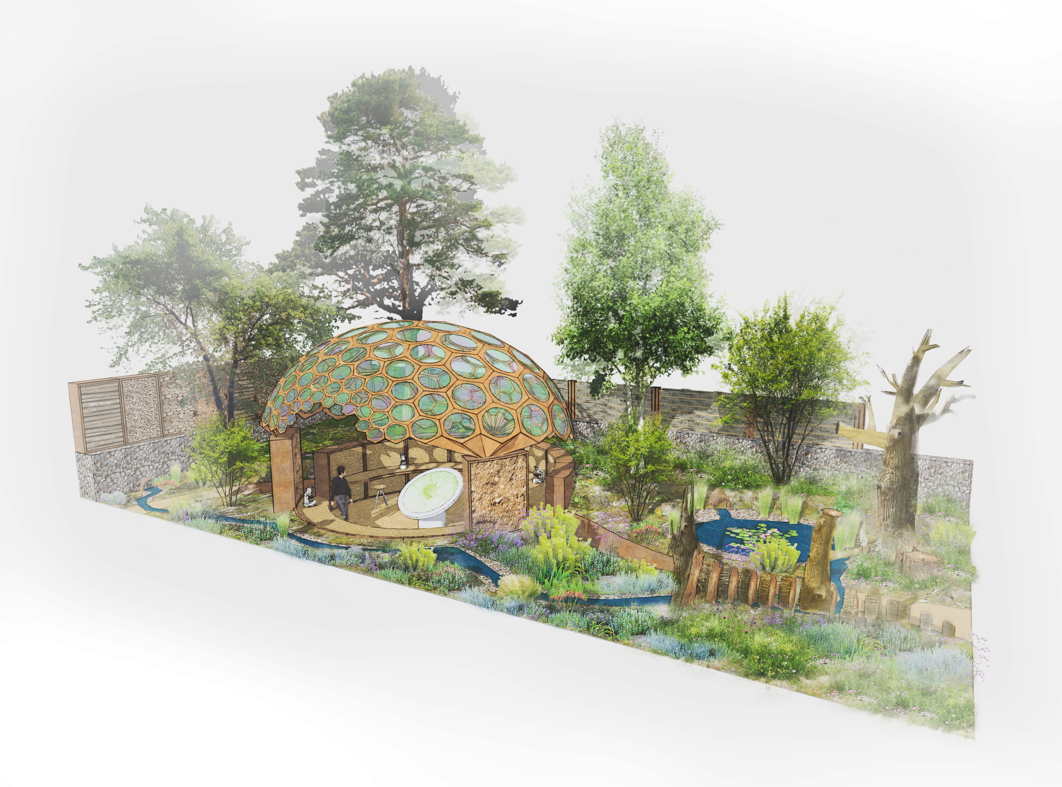 Tom Massey's RES garden at Chelsea Flower Show Tom Massey's RES garden at Chelsea Flower Show