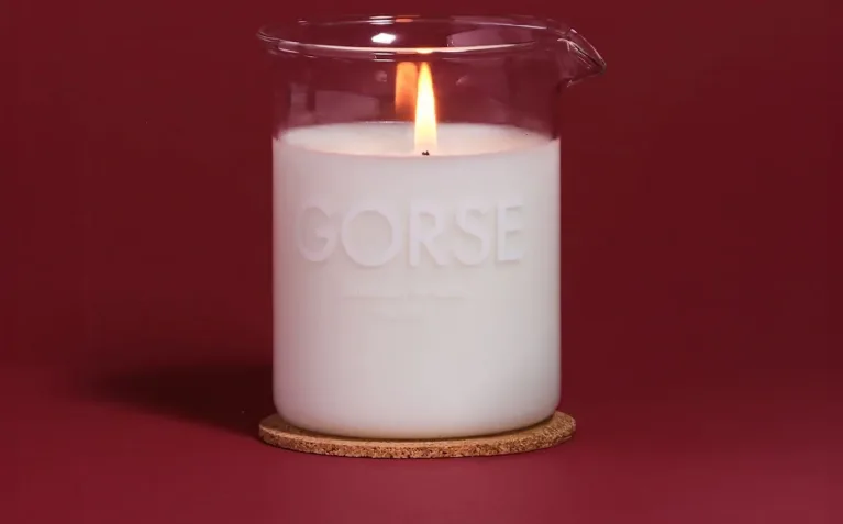 Gorse candle for Christmas Gorse candle for Christmas
