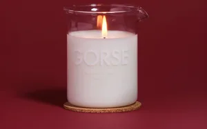 Gorse candle for Christmas Gorse candle for Christmas