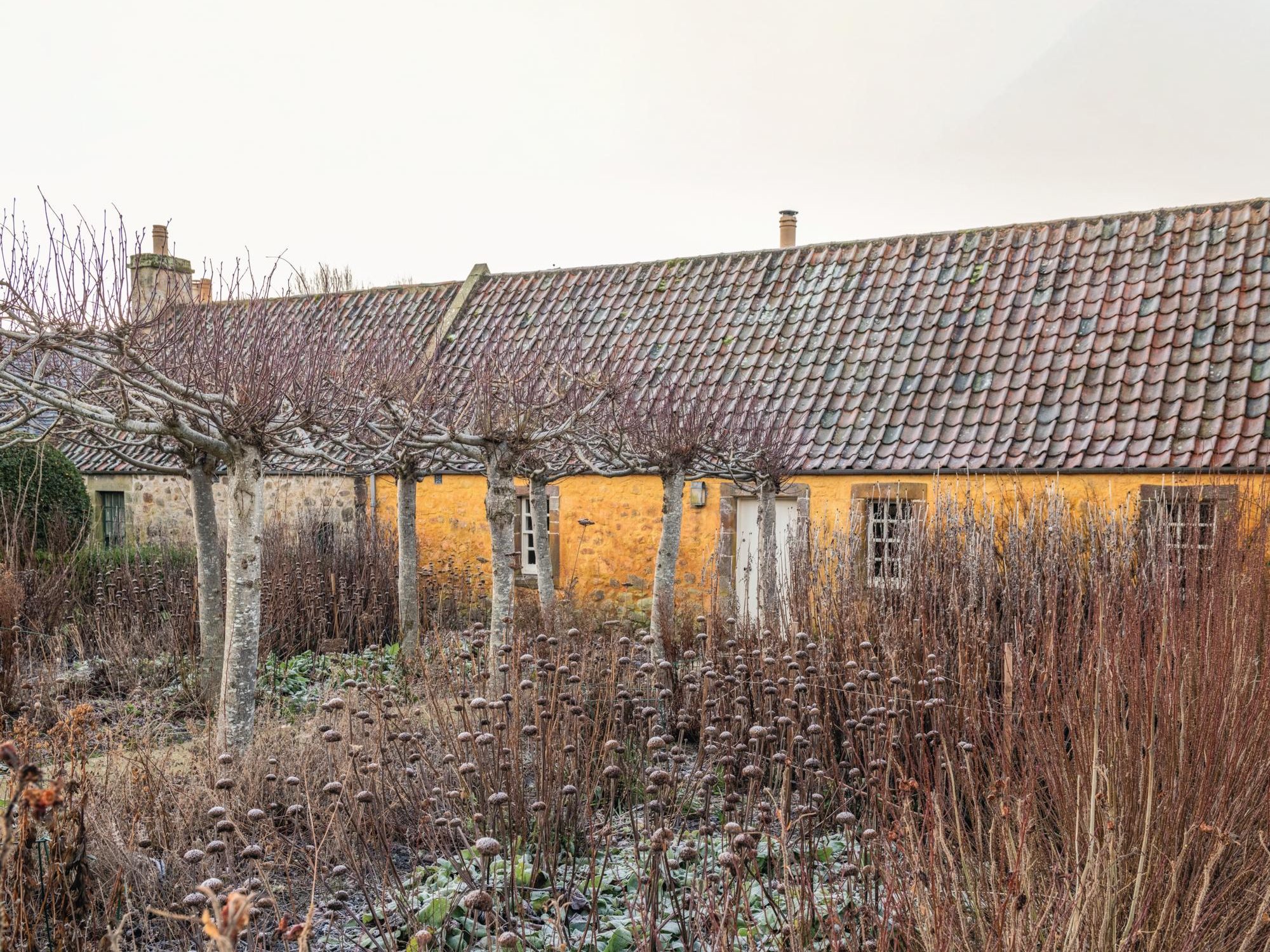 House and garden