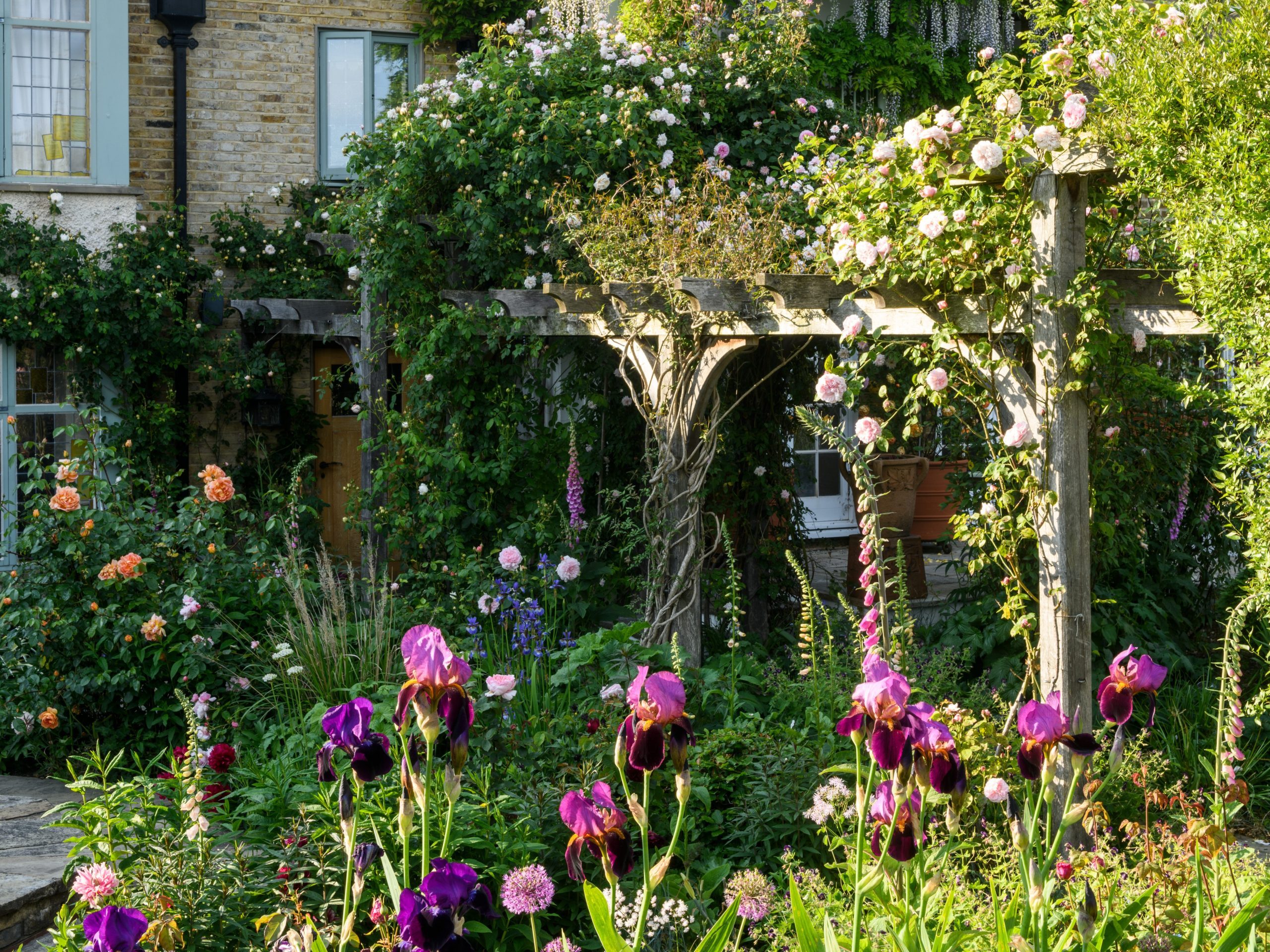 A house with a climbing rose