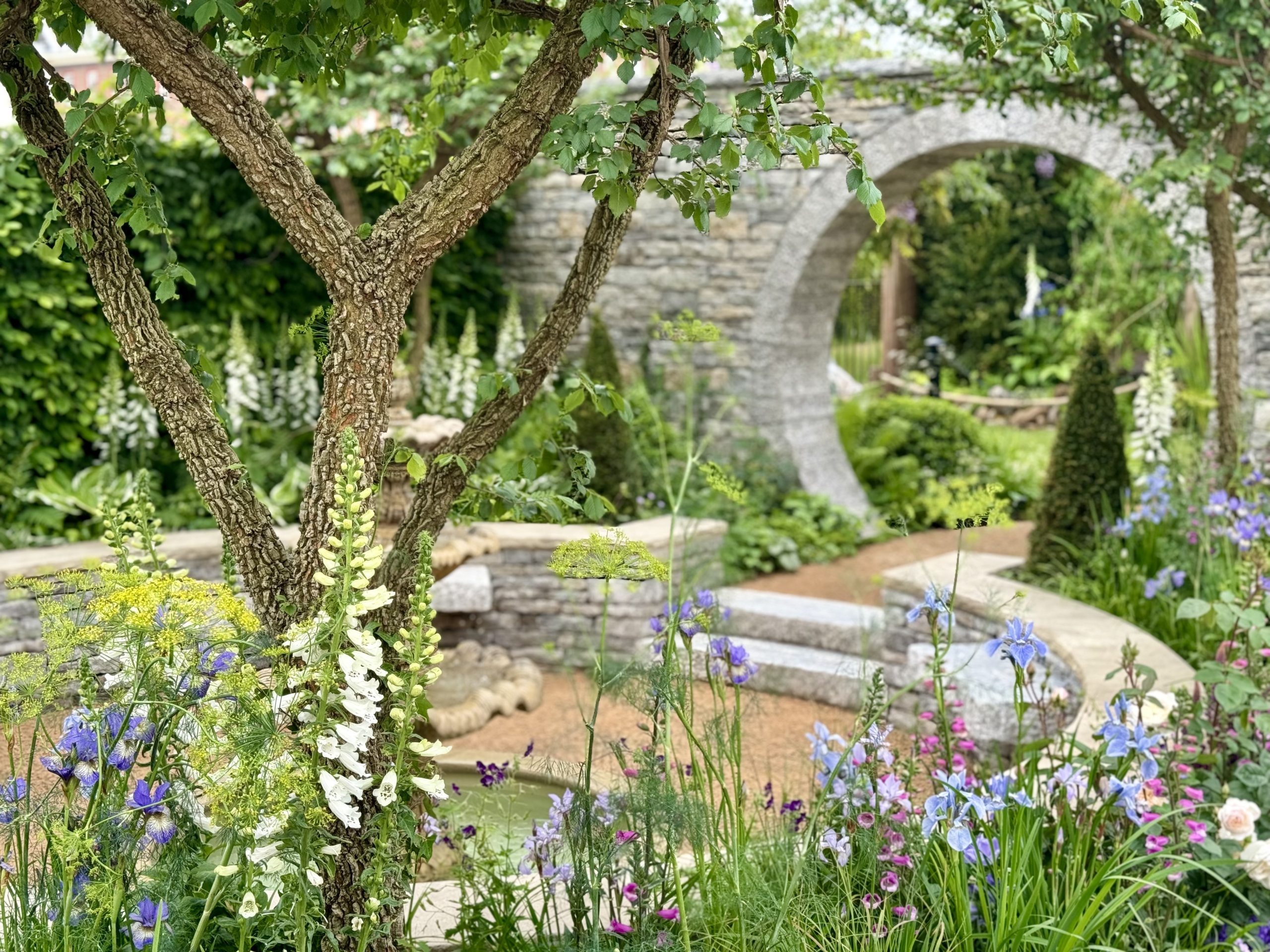 A garden with a tree and flowers