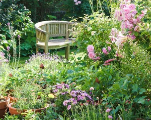Jo Thompson garden Design at Sam McKnights private garden in North west London, June 2022 UK A garden with a bench