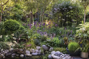 Libby Webb's garden in Edinburgh Purple plants in woodland garden