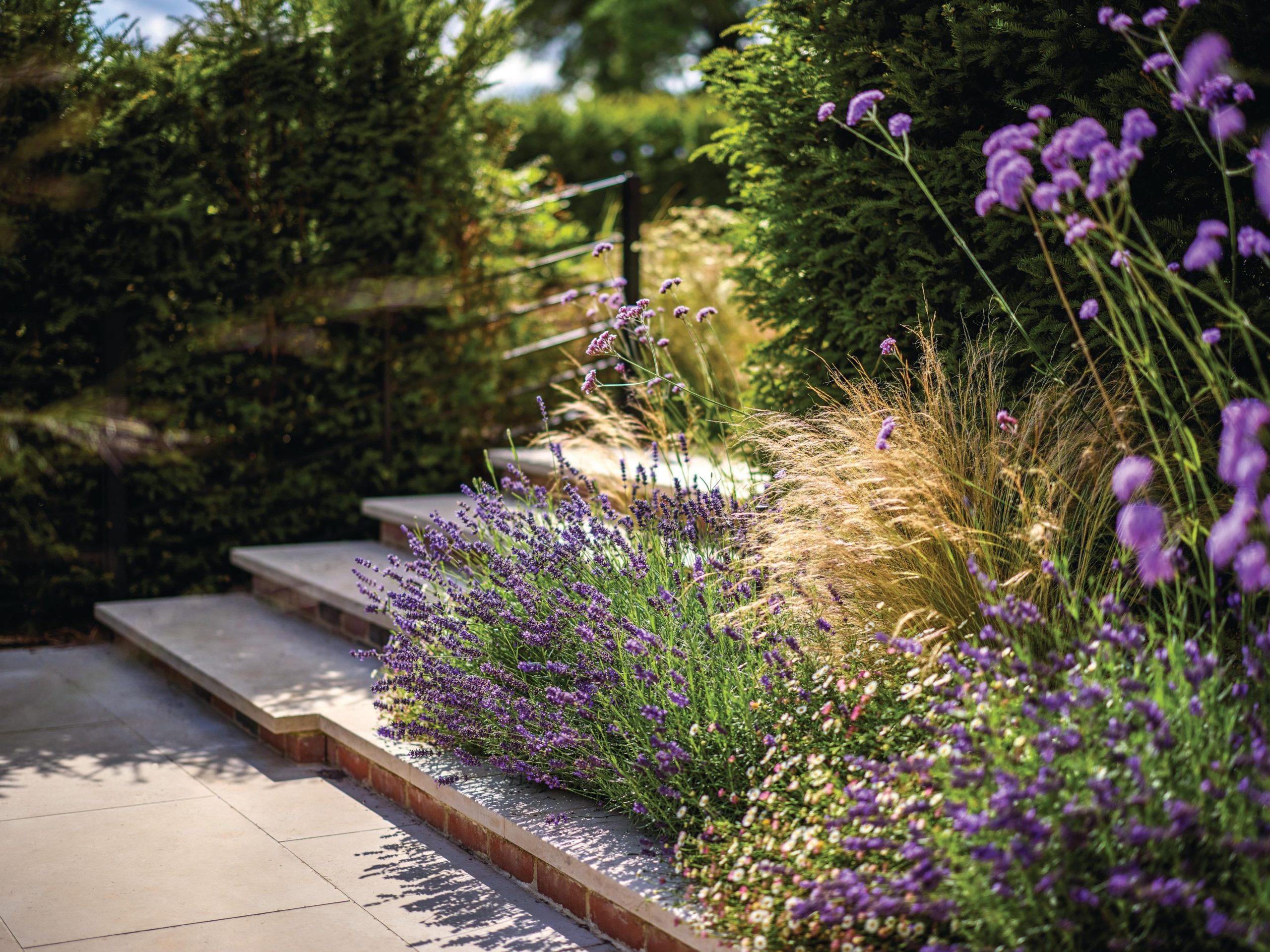 Garden with steps