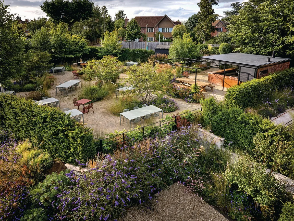 TR-Plough-Above-DJI_0793_preview Pub garden