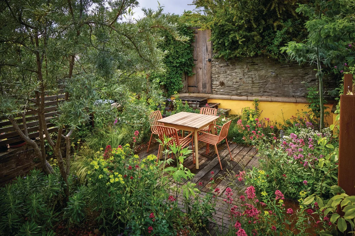 Harry Holding's own garden Bristol St Werburghs Harry Holding's own garden Bristol St Werburghs