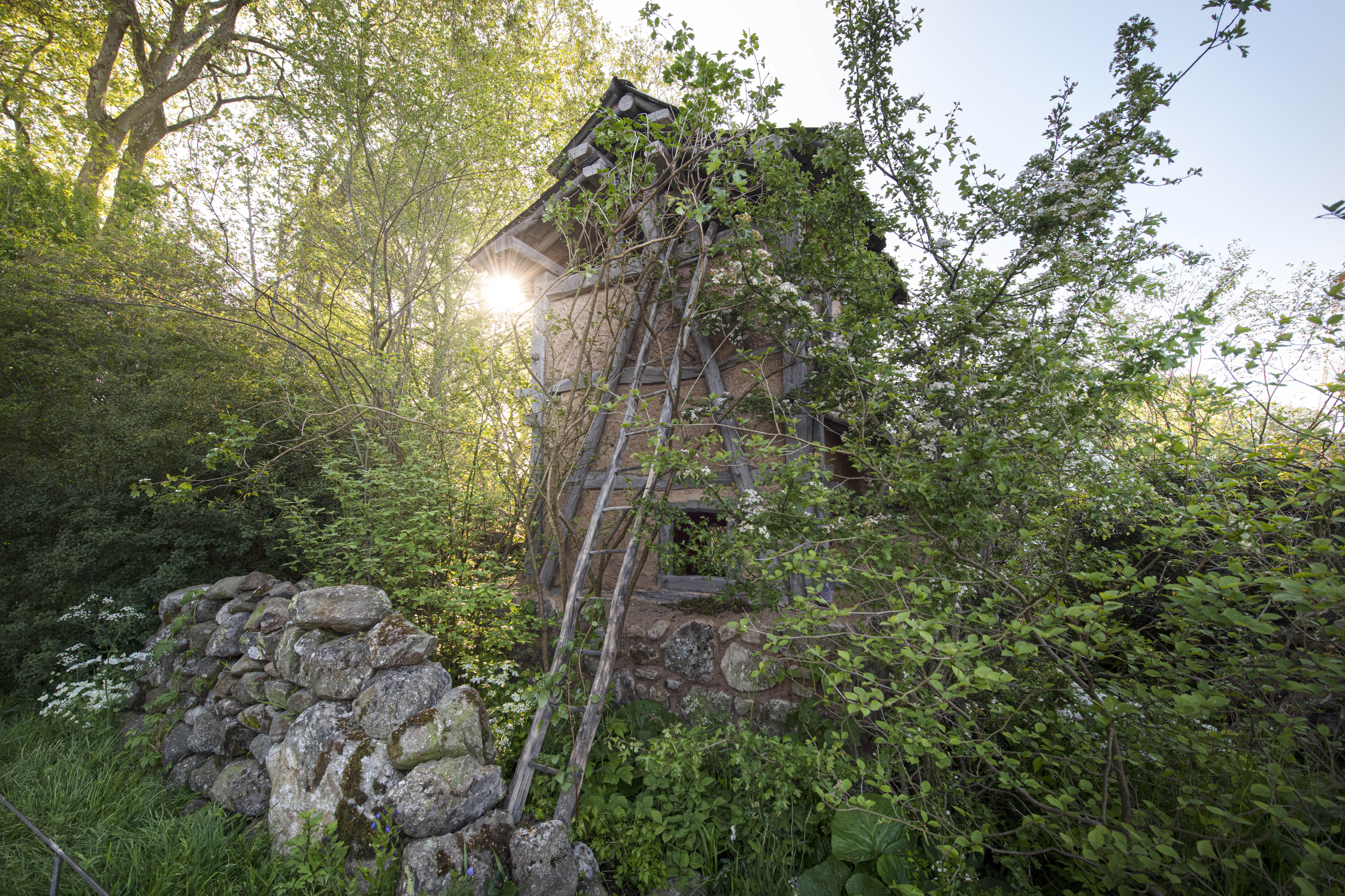 Chelsea Flower Show Garden 2023: A Letter from a Million Years Past. Designed by Jihae Hwang. Sponsored by Korea Forest Service, Hoban Cultural Foundation and MUUM Ltd.