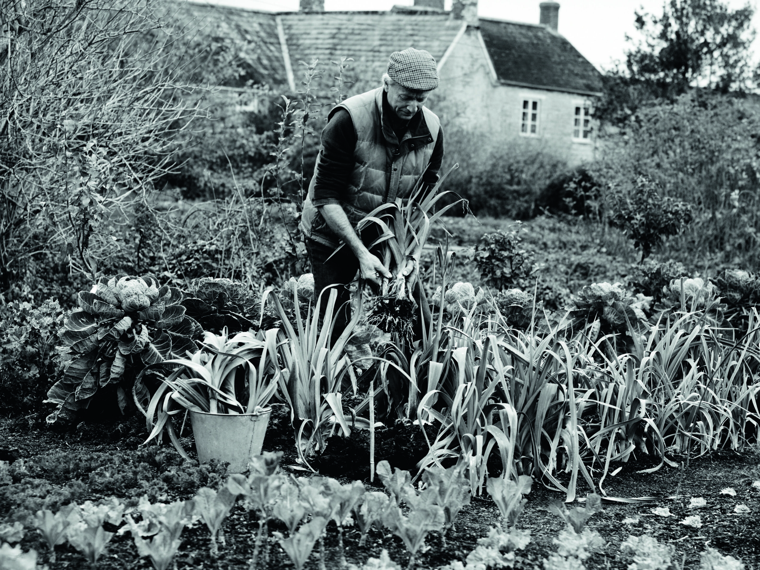 No-dig gardener Charles Dowding in his quarter-acre organic vegetable garden in Somerset
