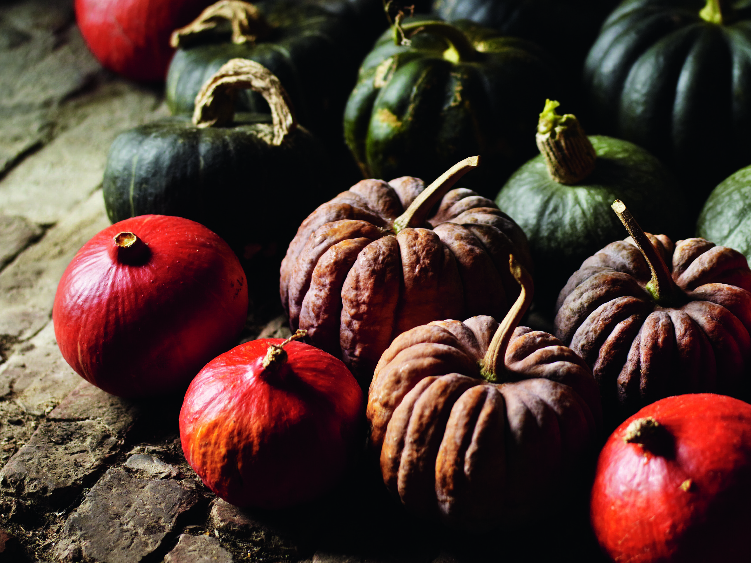 Different varieties of winter squash and pumpkins gathered together on cobbled floor