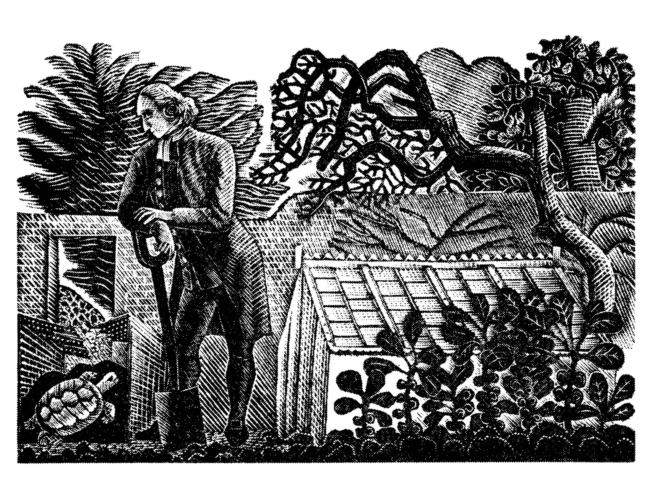 Eric Ravilious’s illustration of Gilbert White in his garden with his tortoise Timothy for the 1938 edition of The Writings of Gilbert White.