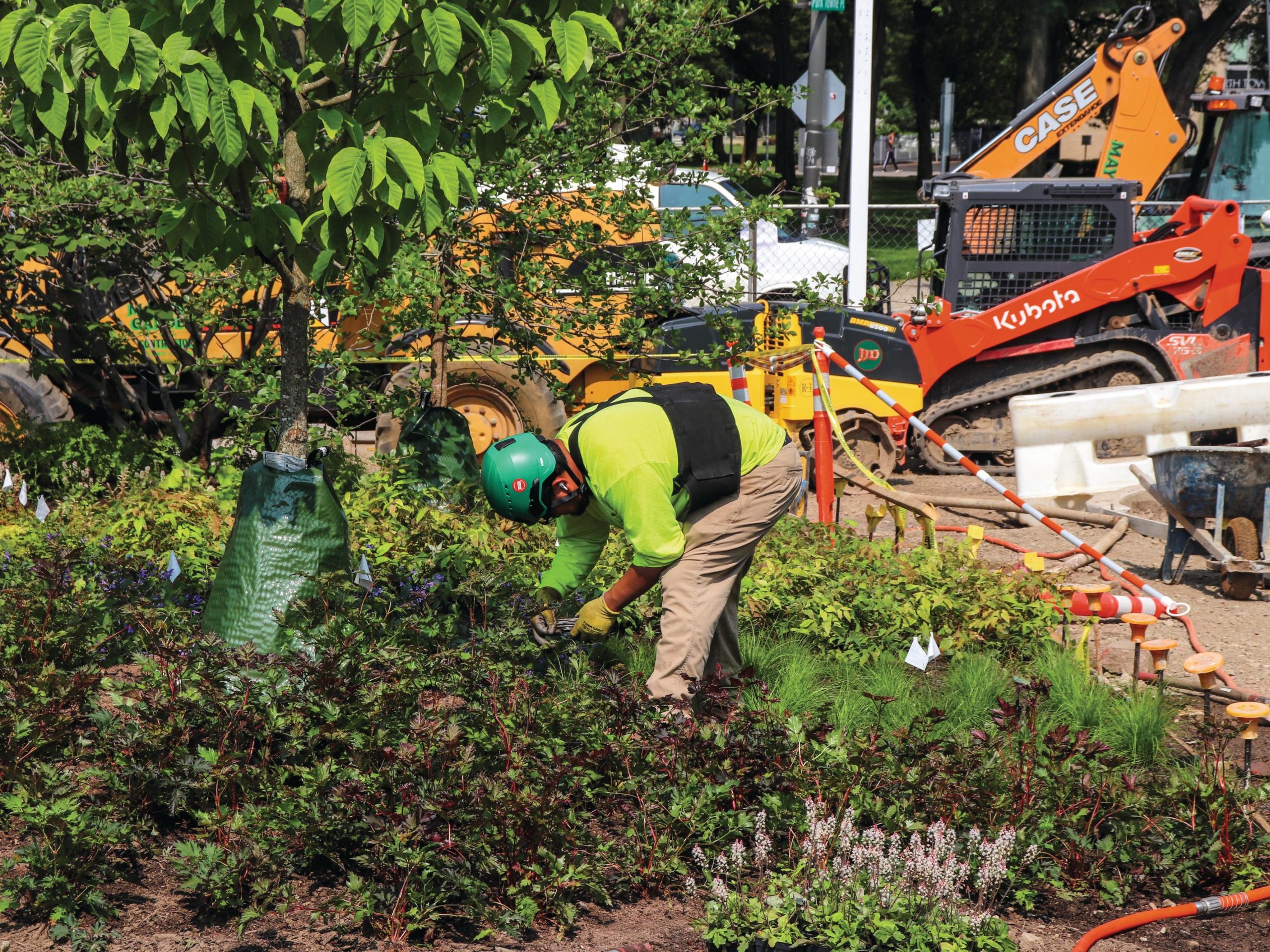 Gardeners planting