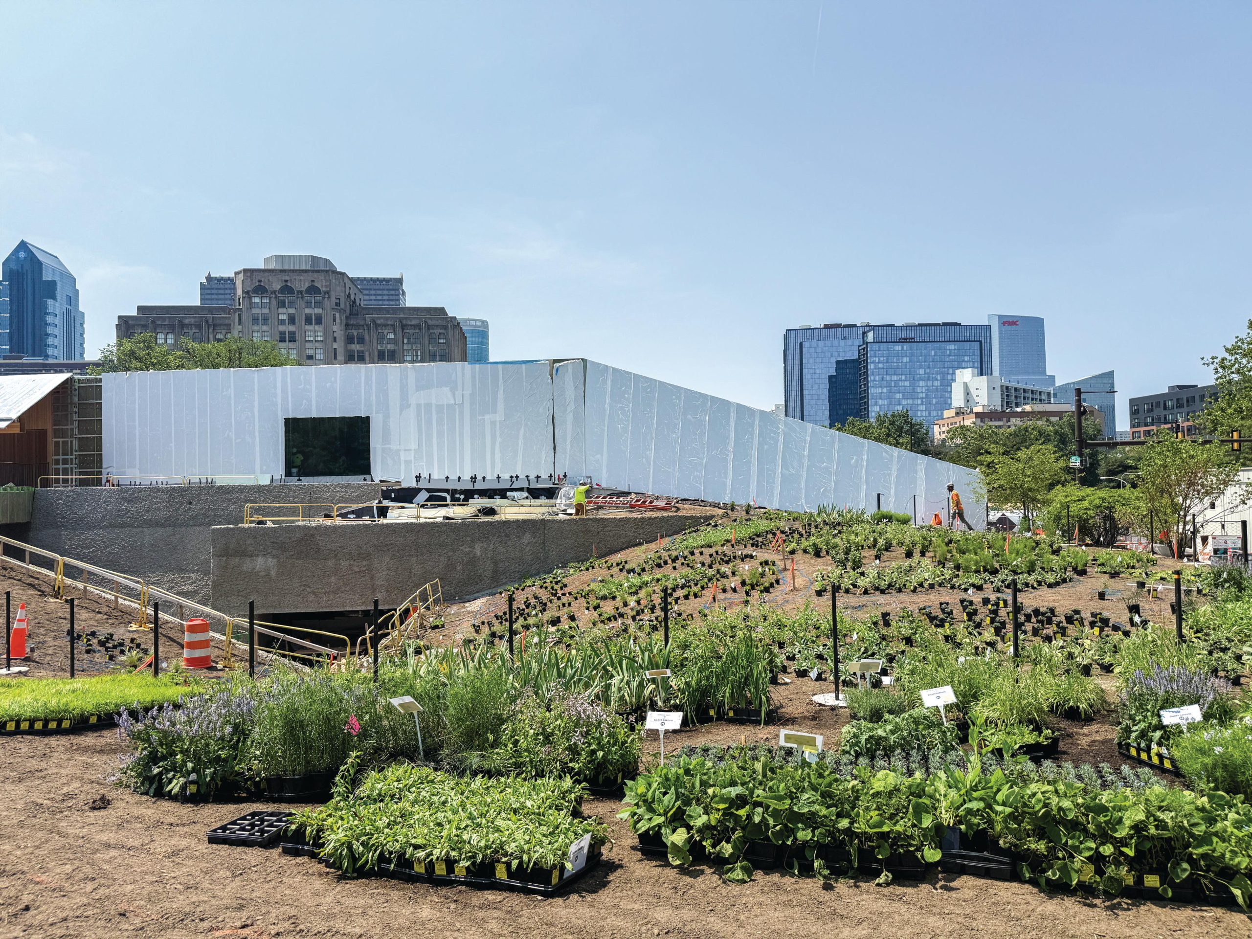 Garden and building