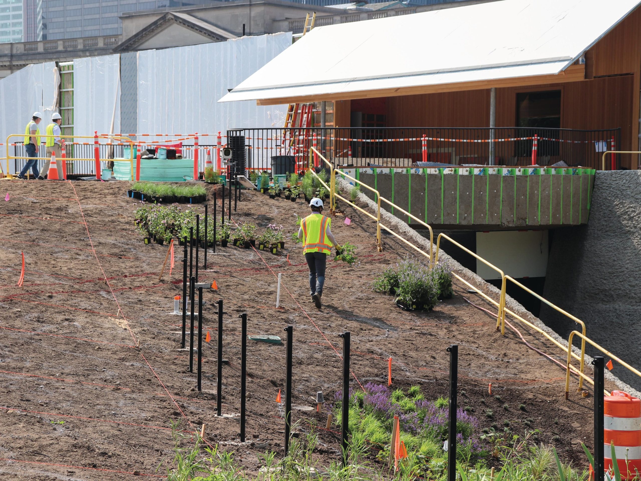 Garden being planted with buildings