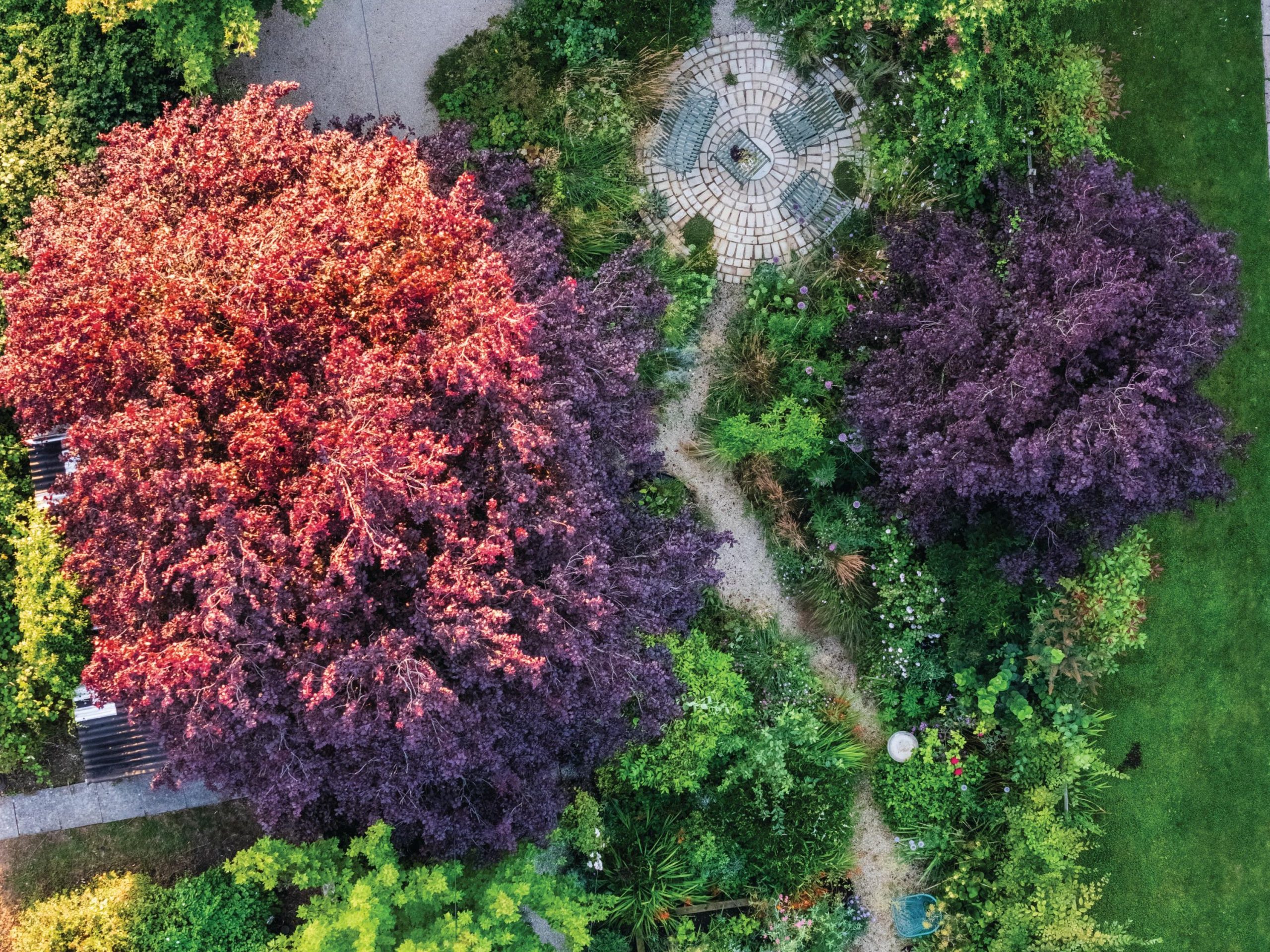 Aerial view of garden