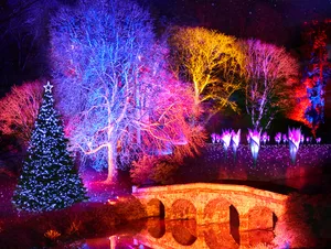 Christmas at Stourhead 2020_Landscape Stourhead Christmas light show
