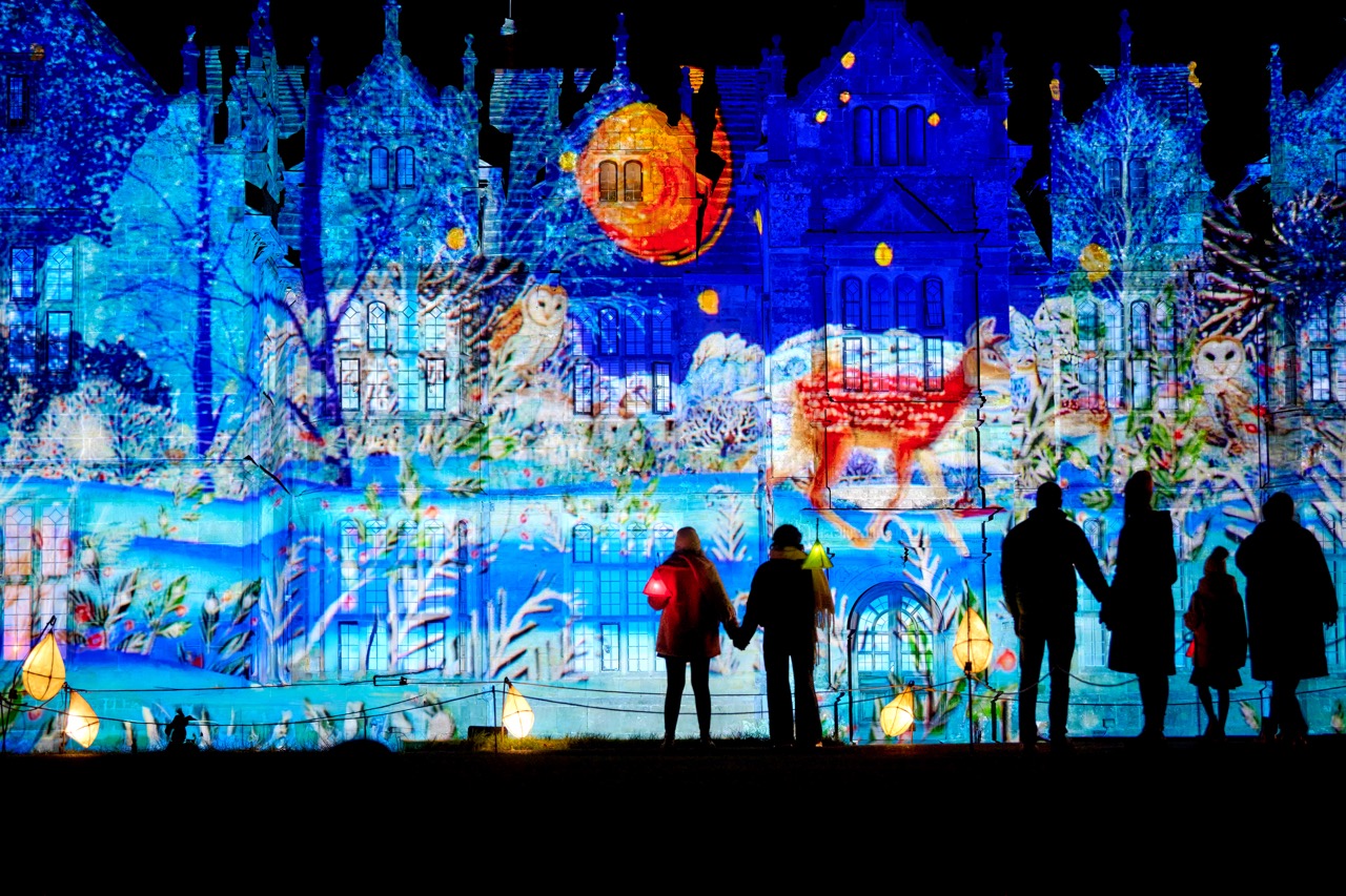 Ardingly, UK. 28 November, 2024. Glow WIld.RBG Wakehurst Picture by Jim Holden
