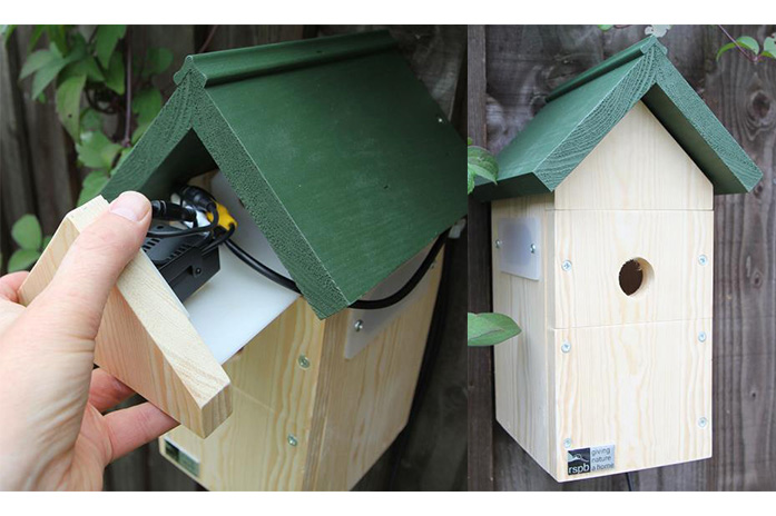 RSPB Digital Wired Nest Box Camera on a tree