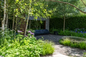 Muscular Dystrophy UK – Forest Bathing Garden at the RHS Chelsea Flower Show. Designed by Ula Maria. Sponsored by Project Giving Back Muscular Dystrophy UK – Forest Bathing Garden at the RHS Chelsea Flower Show. Designed by Ula Maria. Sponsored by Project Giving Back