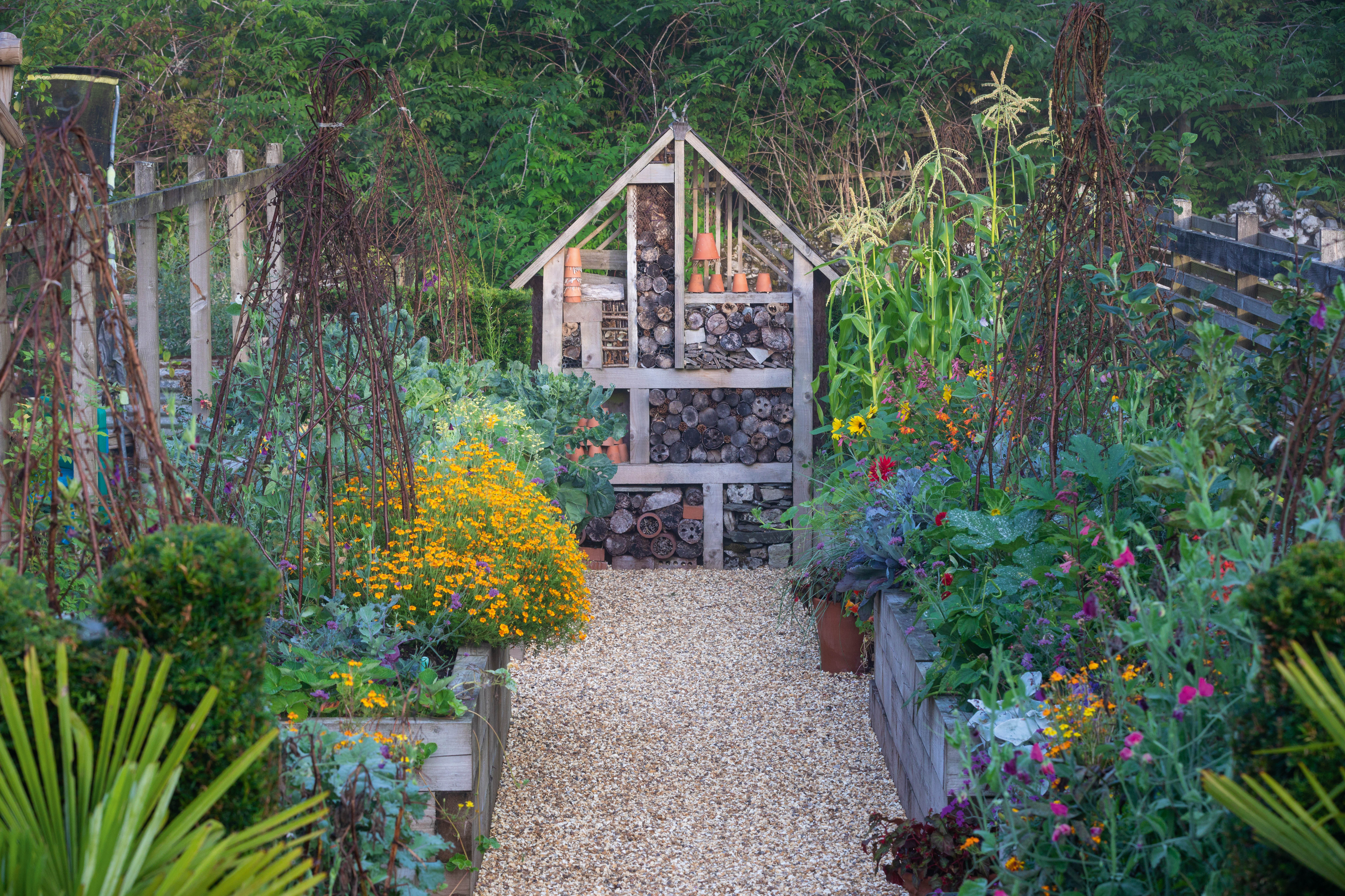 Abi and Tom's Garden Plants