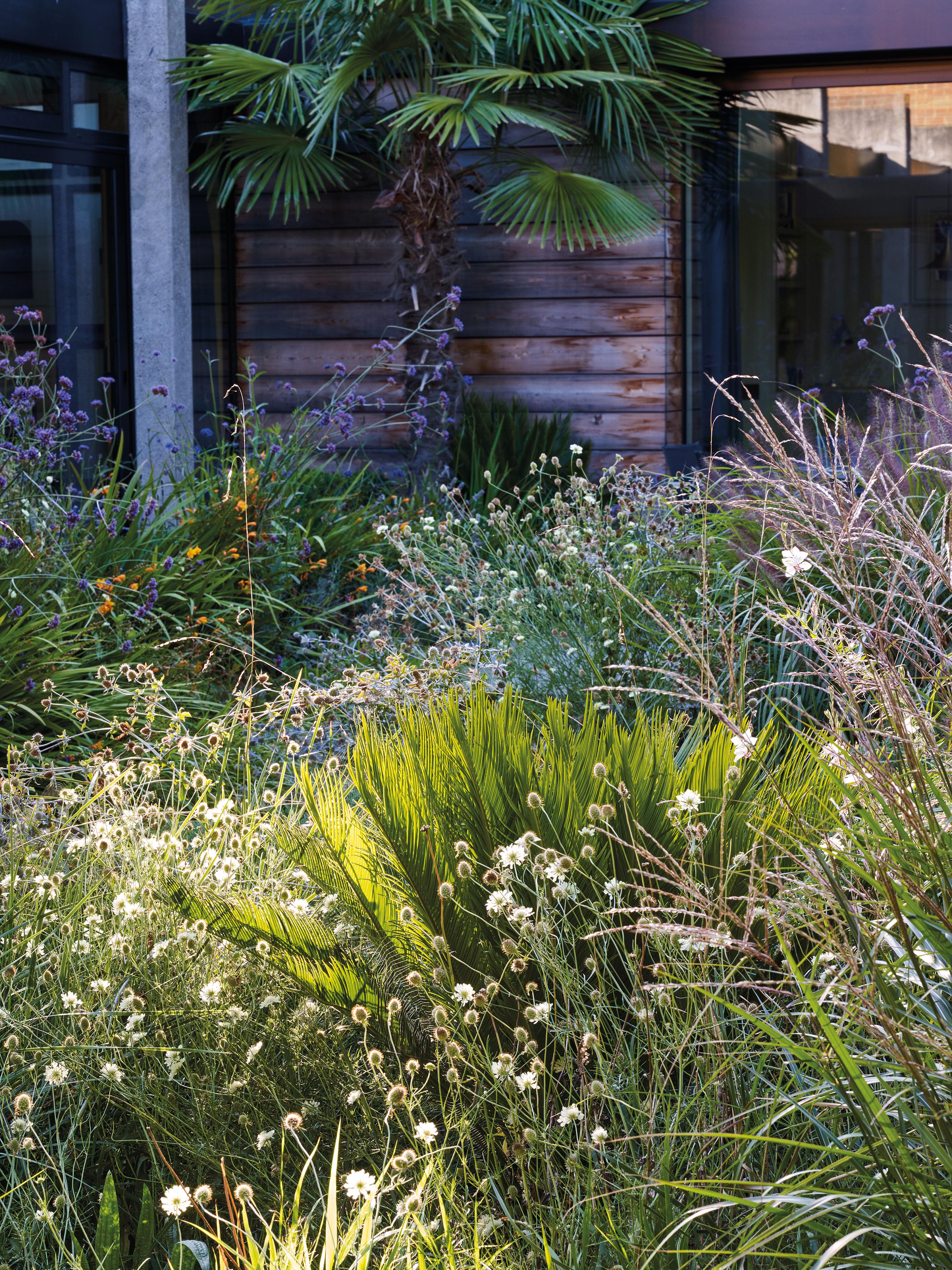 Adam Sykes - Wimbledon Garden