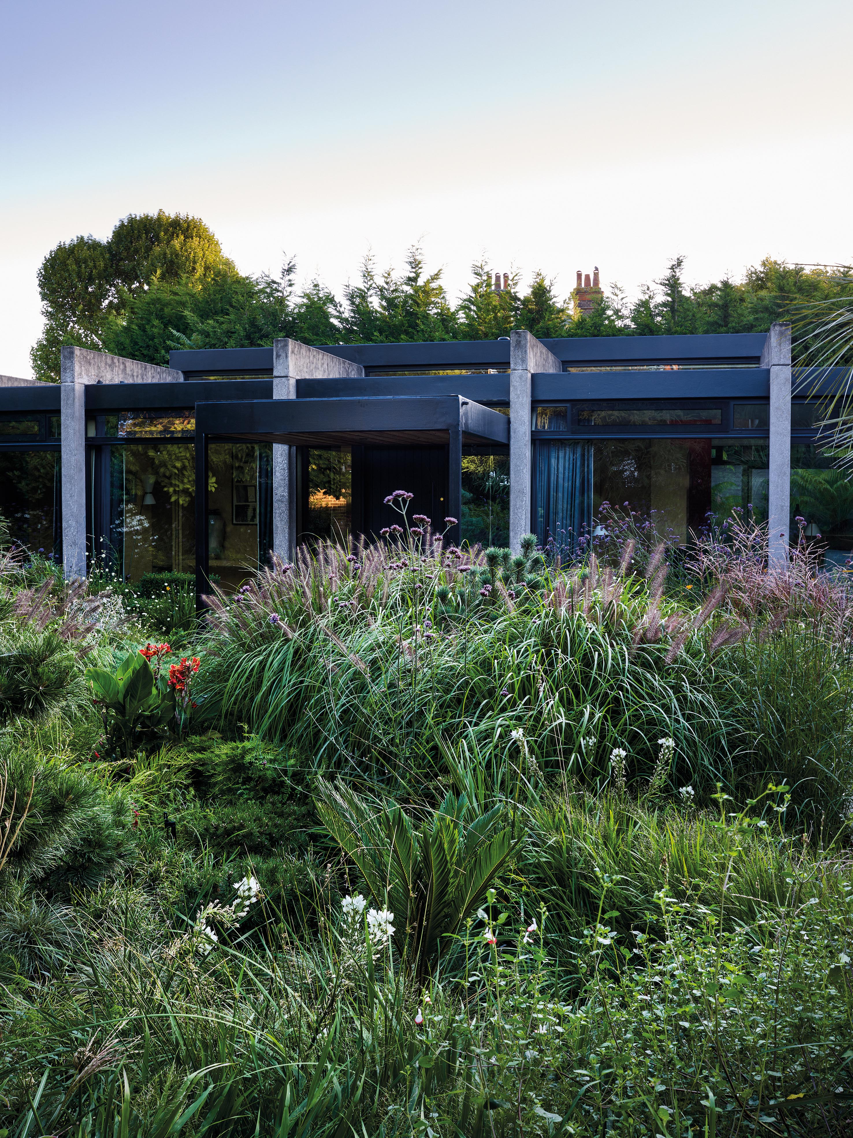 Adam Sykes - Wimbledon Garden