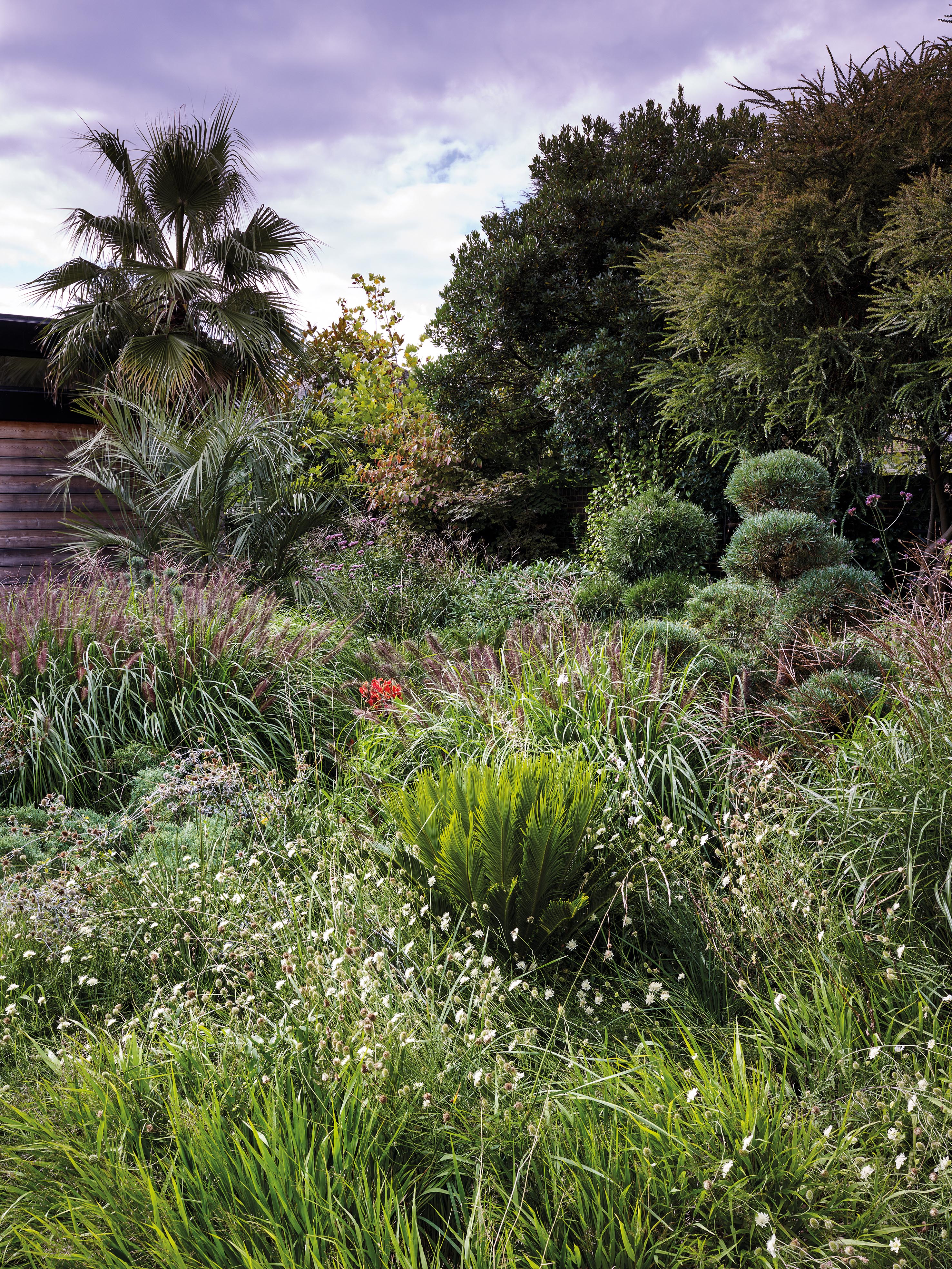 Adam Sykes - Wimbledon Garden