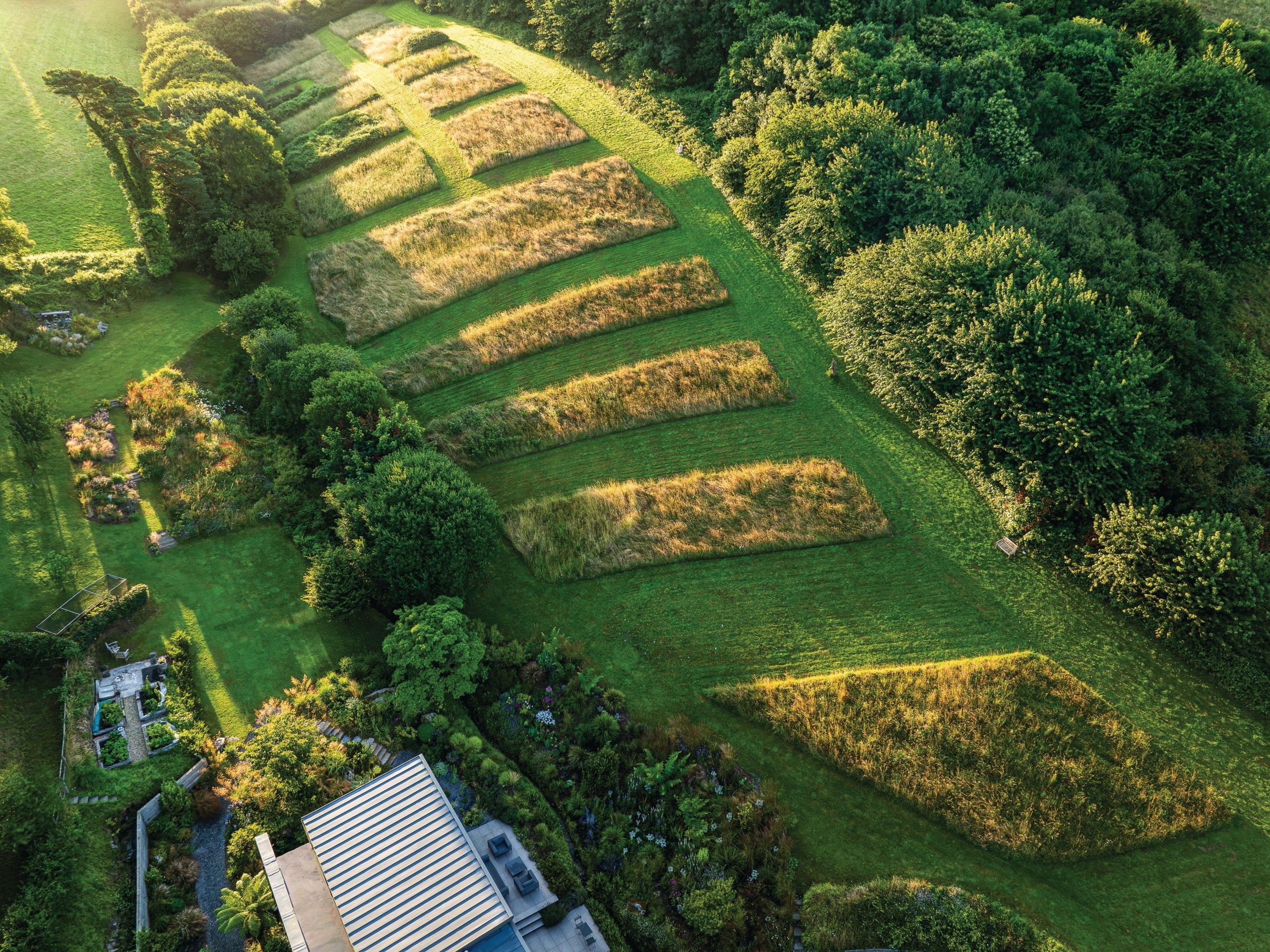 Aerial view of lawn